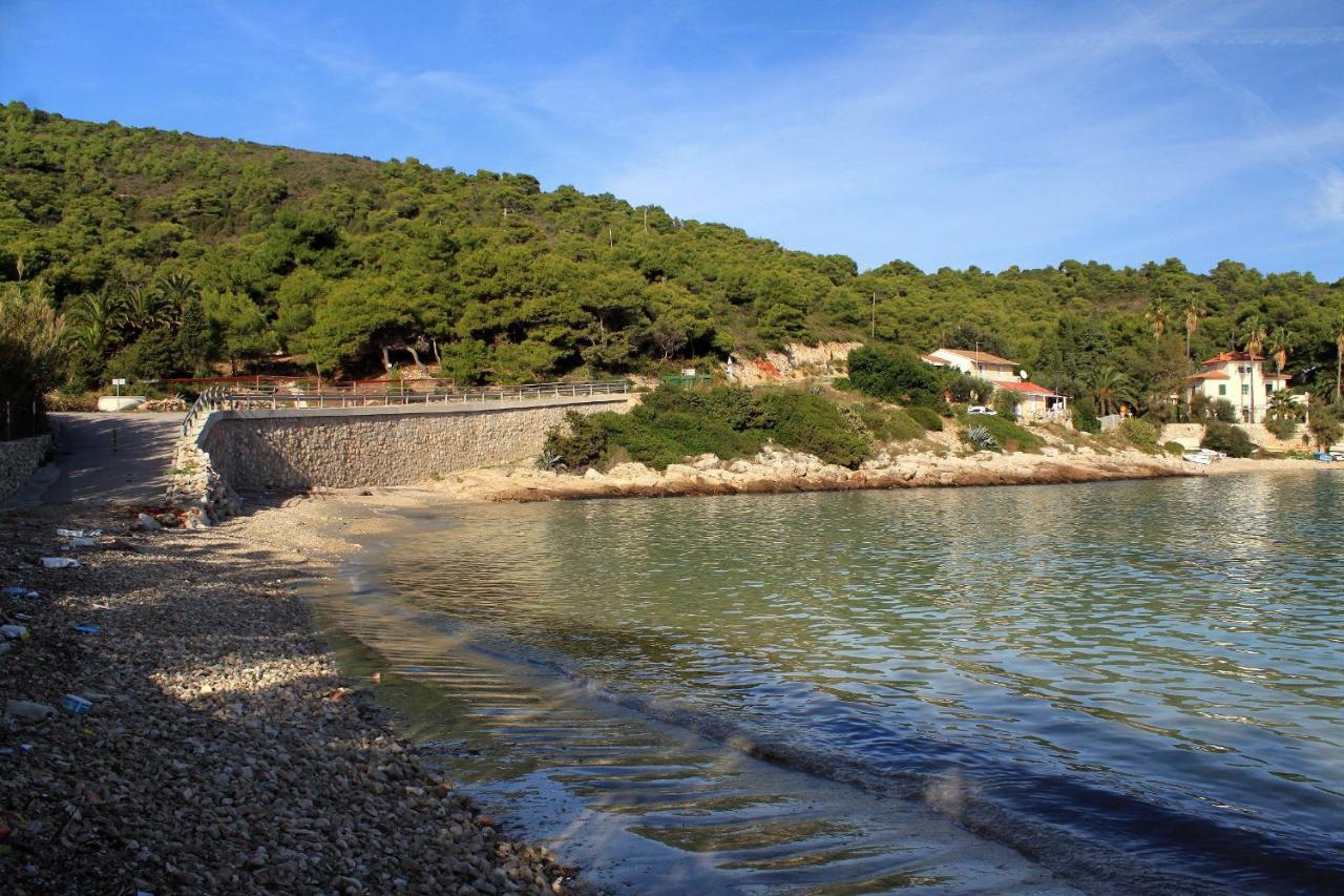 Apartments By The Sea Milna, Vis - 8895 Рукавац Экстерьер фото